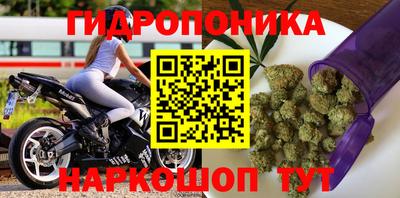 mdpv Гусев